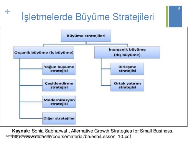 Yoğunlaştırılmış büyüme stratejisi kullanıldığında Yoğunlaştırılmış büyüme stratejisi kullanıldığında